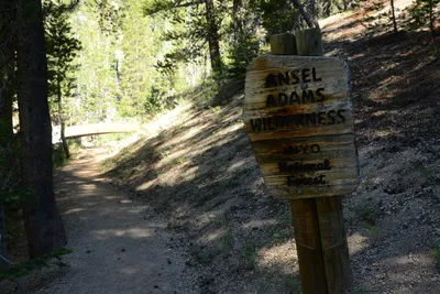 DSC_9887 (Large).JPG